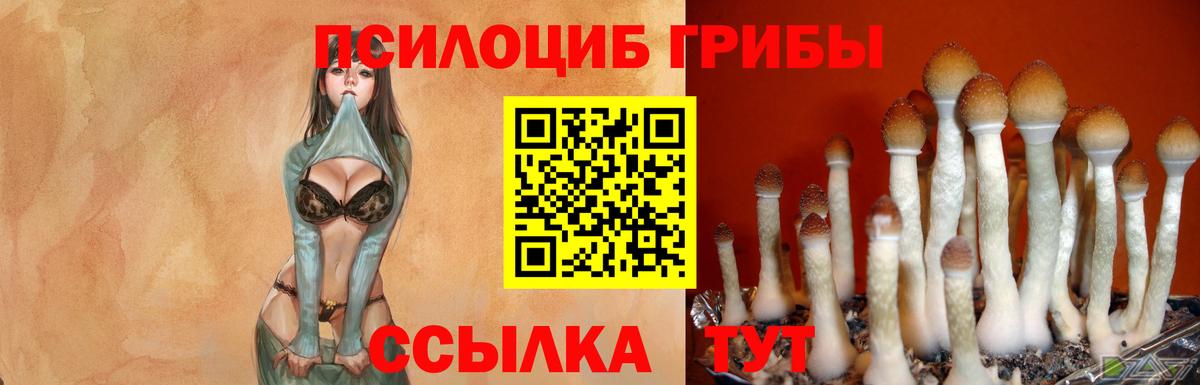 Галлюциногенные грибы ЛСД Ижевск